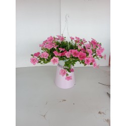 Petunia colgante tarrina 1.60L color rosa