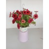 Petunia colgante tarrina 1.60L color rojo